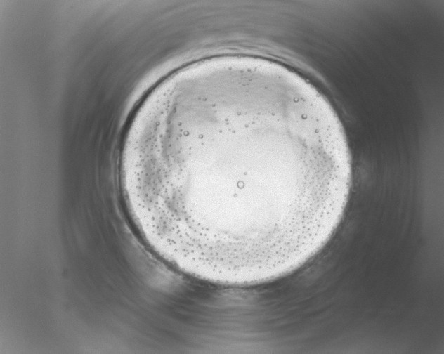 X0000076431514200611031826