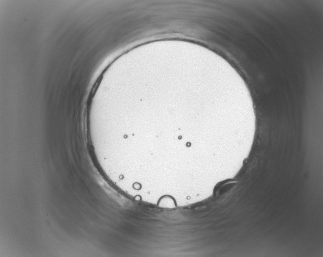 X0000076431516200611031826