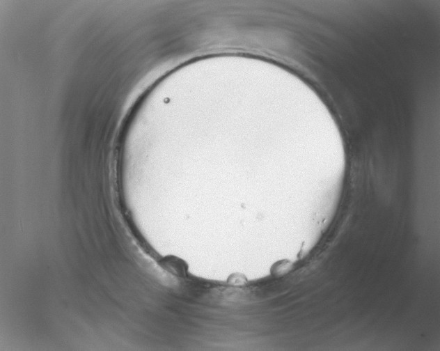 X0000076431517200611031826