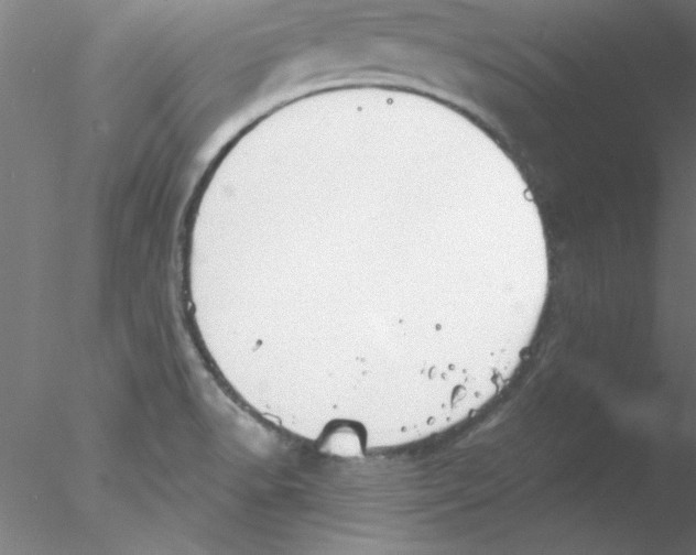 X0000076431518200611031826