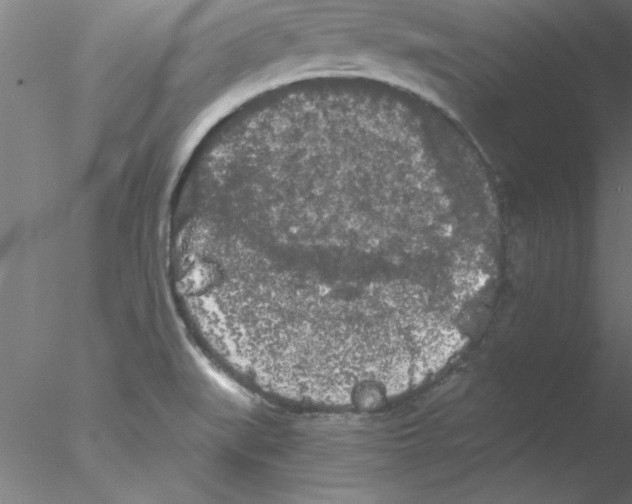 X0000076431519200611031826