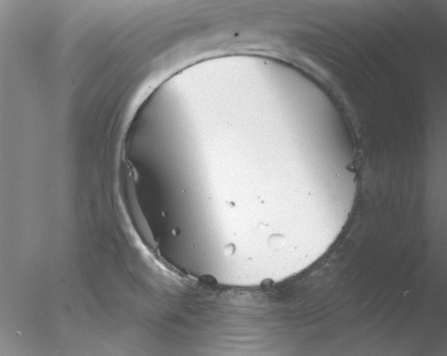 X0000076431520200611031826