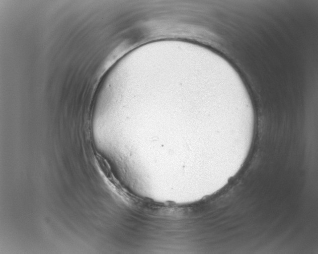 X0000076431521200611031826