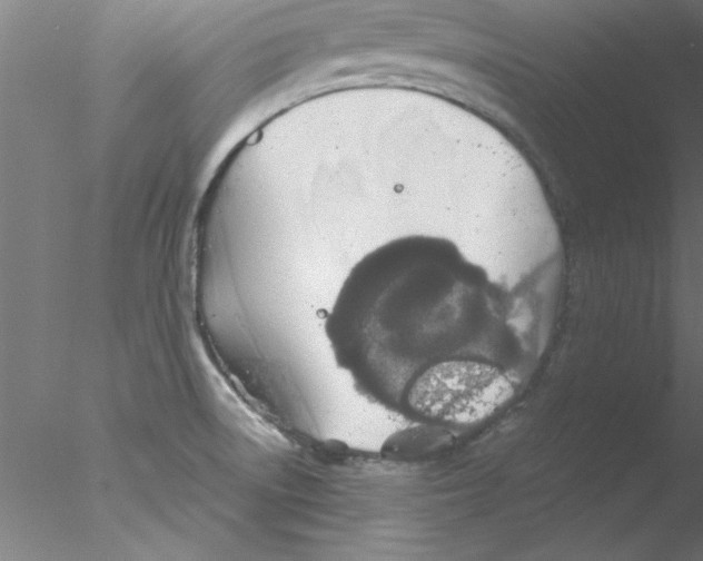 X0000076431522200611031826