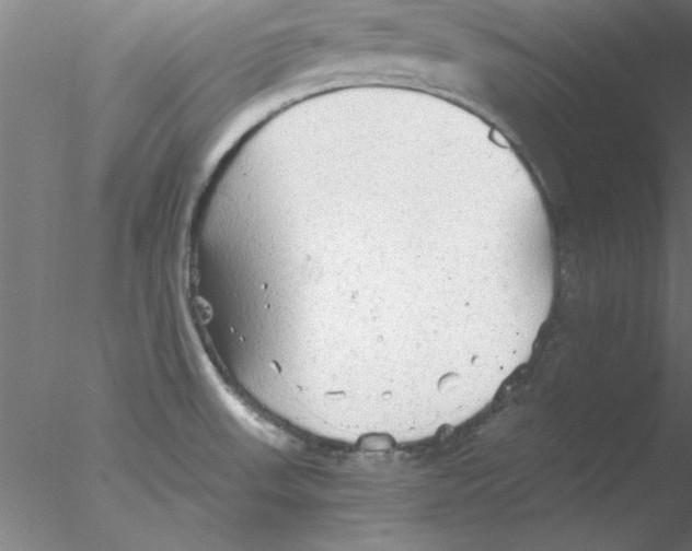 X0000076431523200611031826