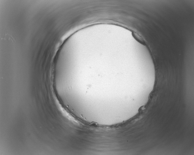 X0000076431526200611031826