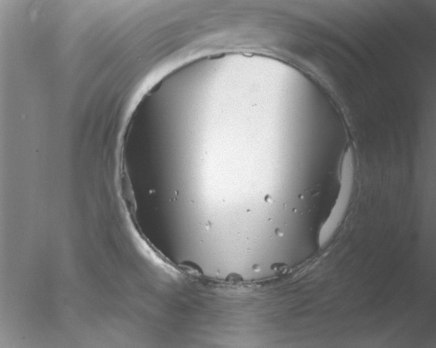 X0000076431528200611031826