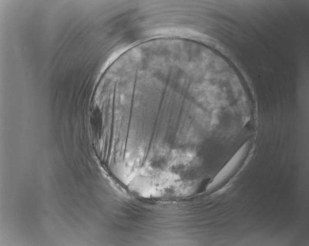 X0000076431529200611031826