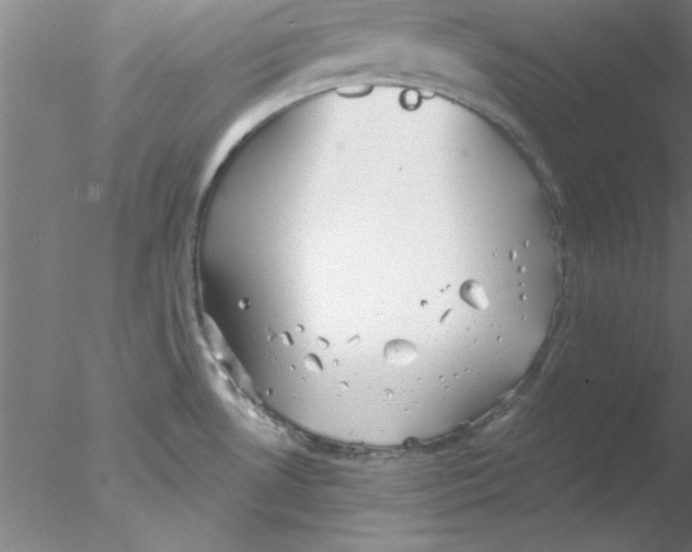 X0000076431530200611031826