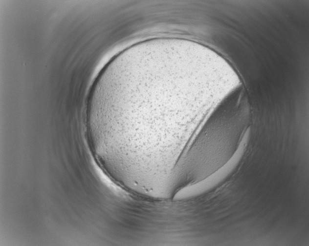 X0000076431531200611031826