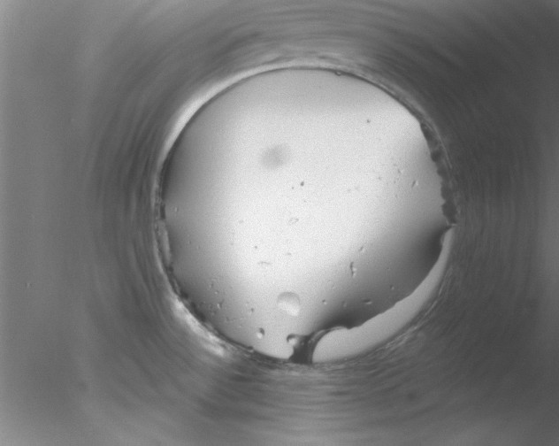 X0000076431532200611031826