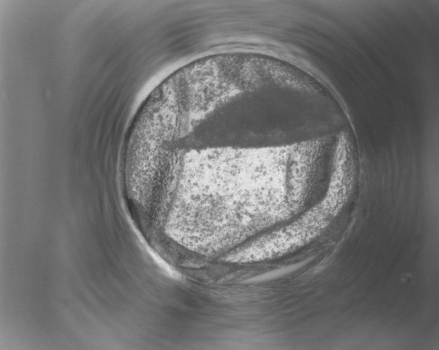 X0000076431533200611031826