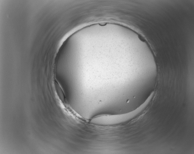 X0000076431534200611031826