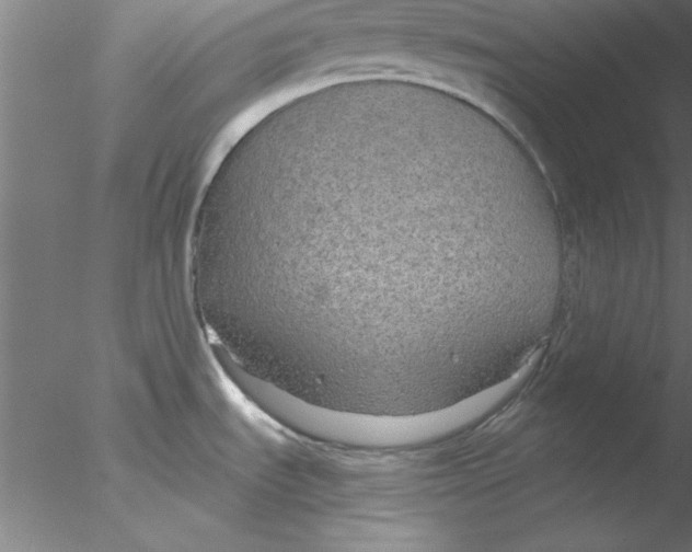 X0000076431535200611031826