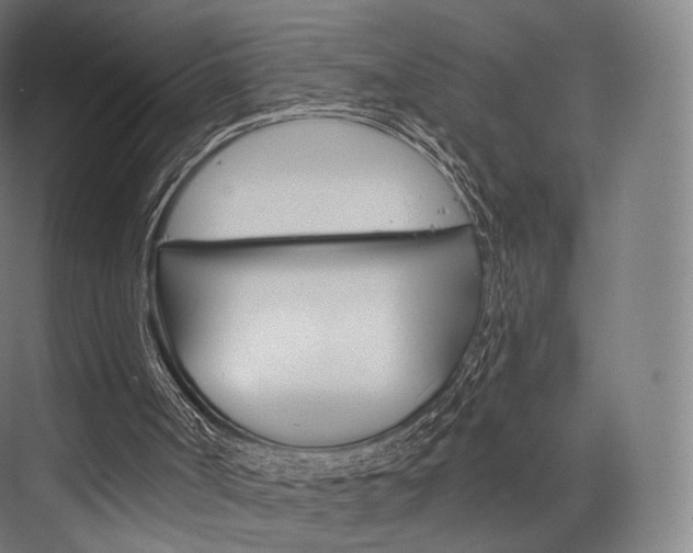 X0000076440002200610061037