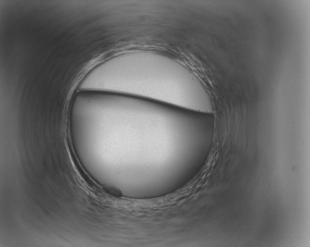 X0000076440003200610061037