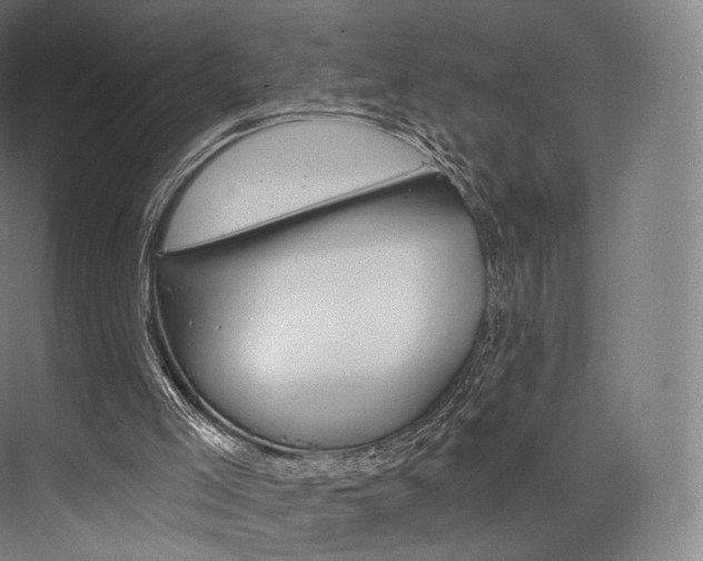 X0000076440005200610061037