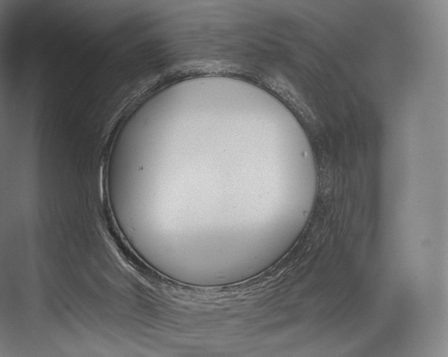 X0000076440014200610061037