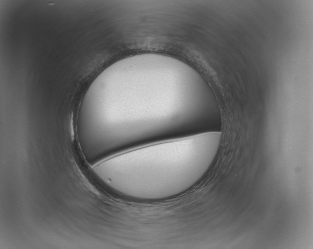 X0000076440020200610061037