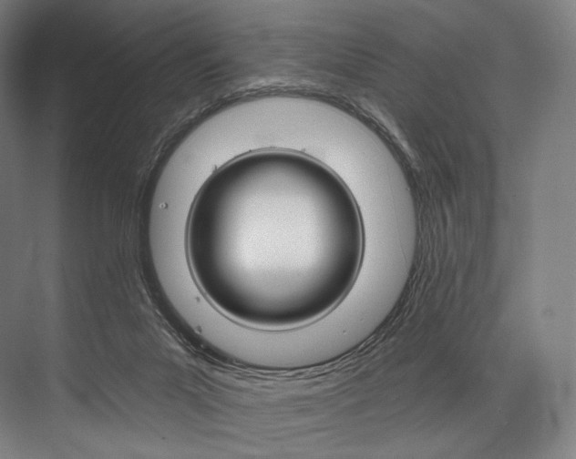 X0000076440023200610061037