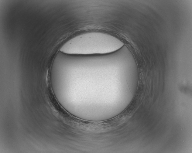 X0000076440024200610061037