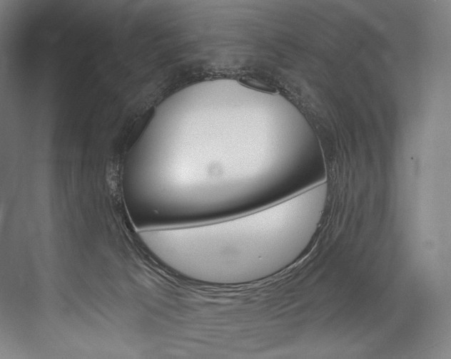 X0000076440033200610061037