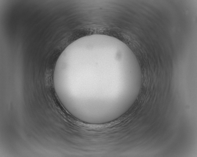 X0000076440034200610061037