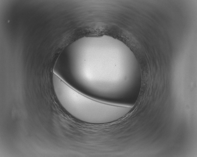 X0000076440037200610061037