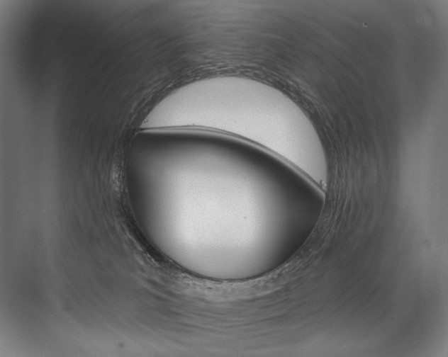 X0000076440039200610061037