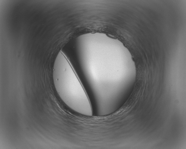 X0000076440040200610061037
