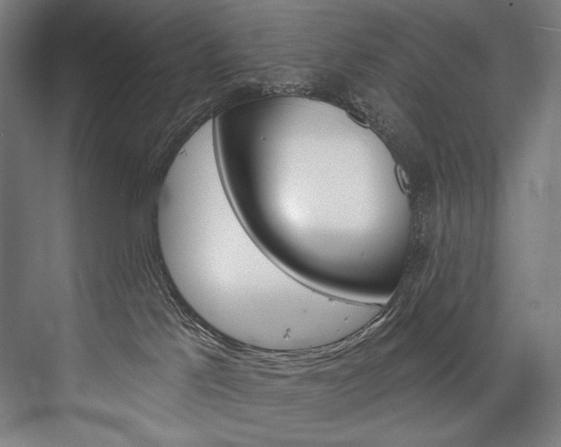 X0000076440041200610061036