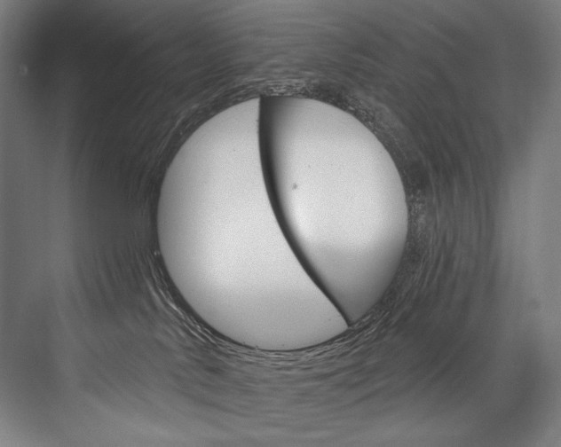 X0000076440042200610061036