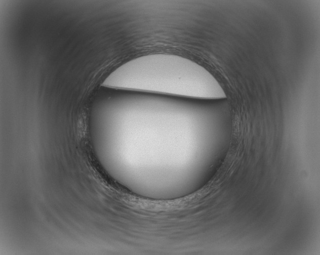 X0000076440043200610061036