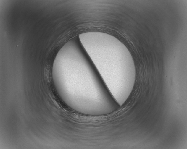 X0000076440044200610061036