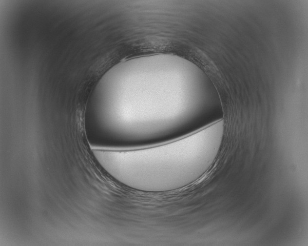 X0000076440045200610061036
