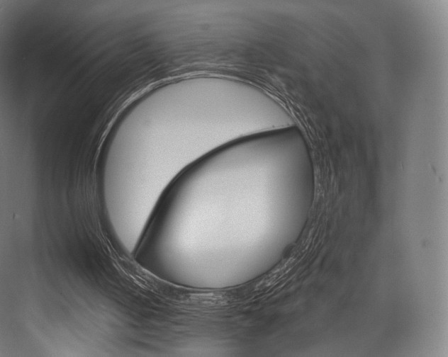 X0000076440050200610061036