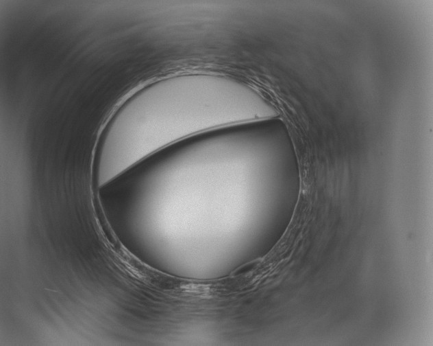 X0000076440052200610061036