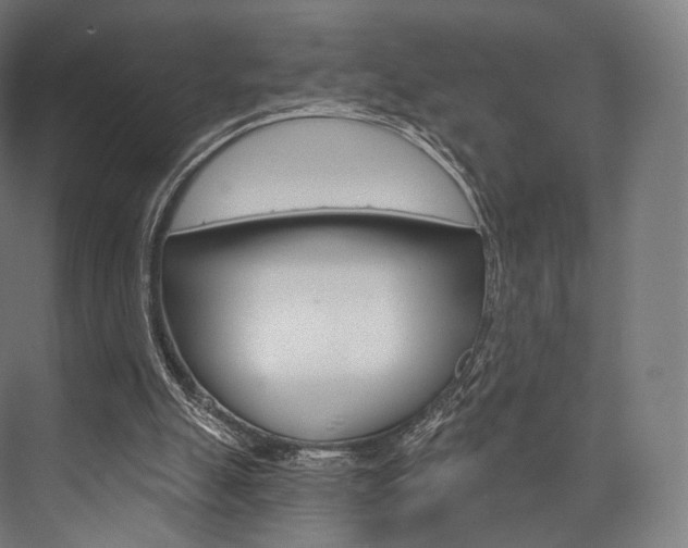 X0000076440055200610061036