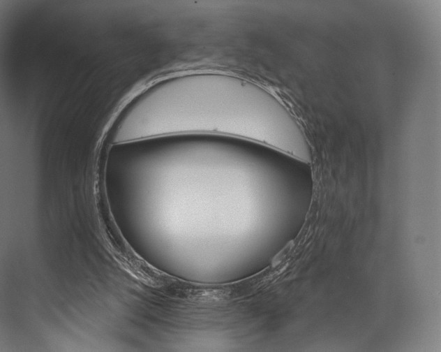 X0000076440056200610061036