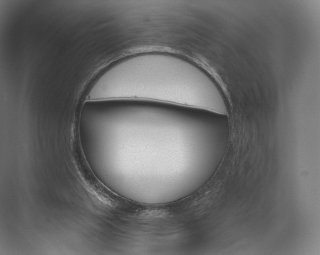 X0000076440063200610061036