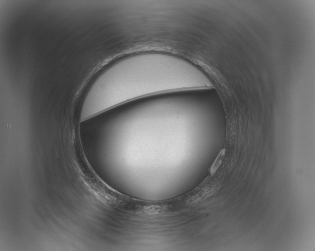 X0000076440064200610061036