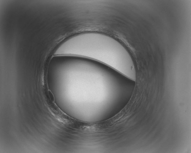 X0000076440068200610061036