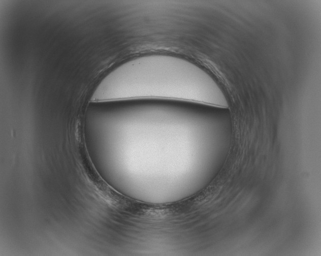 X0000076440071200610061036