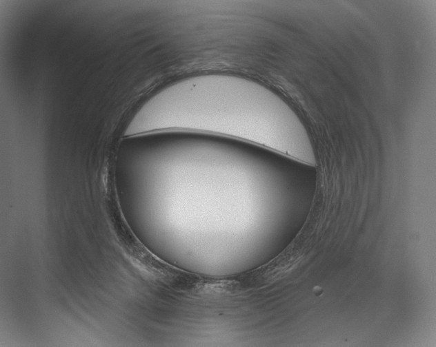 X0000076440072200610061036