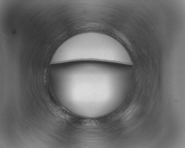 X0000076440073200610061036