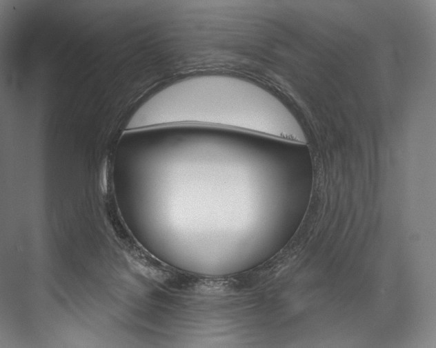 X0000076440076200610061036