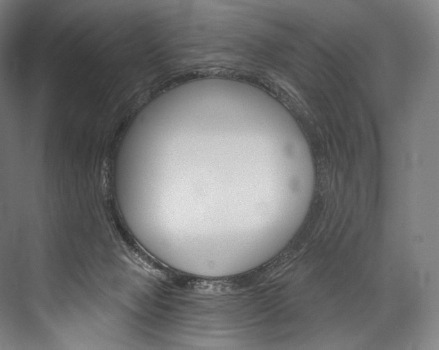 X0000076440077200610061036