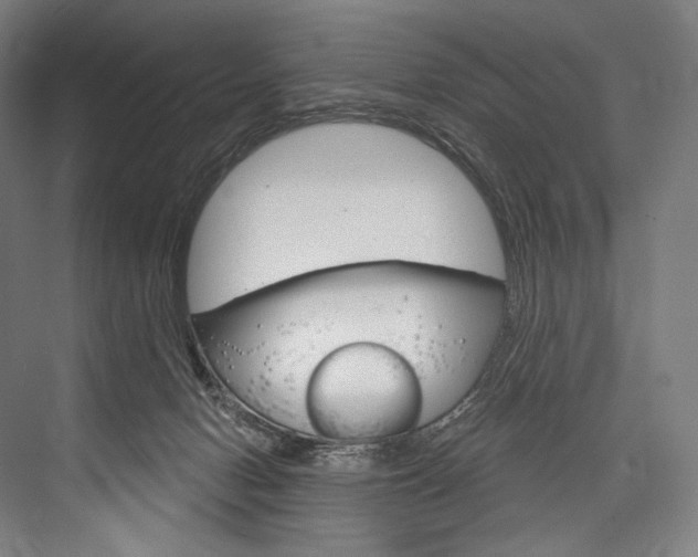 X0000076440078200610061036