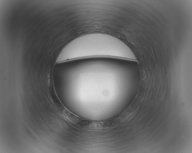 X0000076440080200610061036