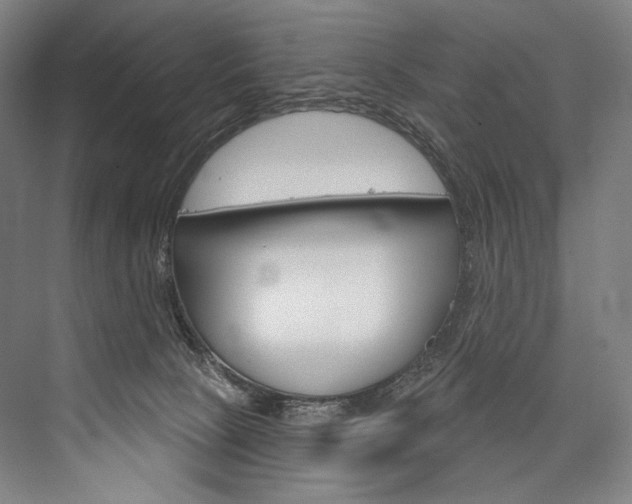 X0000076440081200610061036